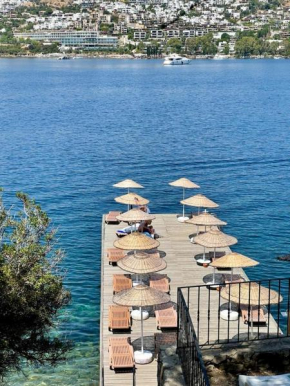 Dream house, Bodrum